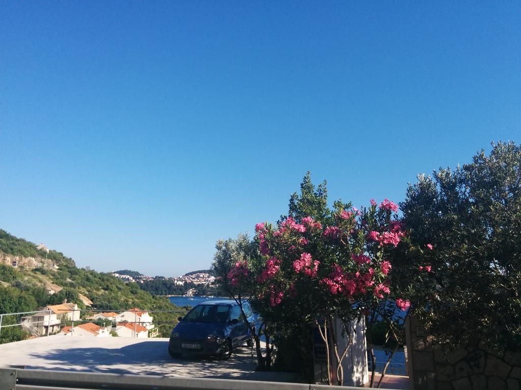 Apartments Anamaria Dubrovnik Bagian luar foto