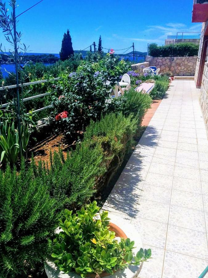 Apartments Anamaria Dubrovnik Bagian luar foto